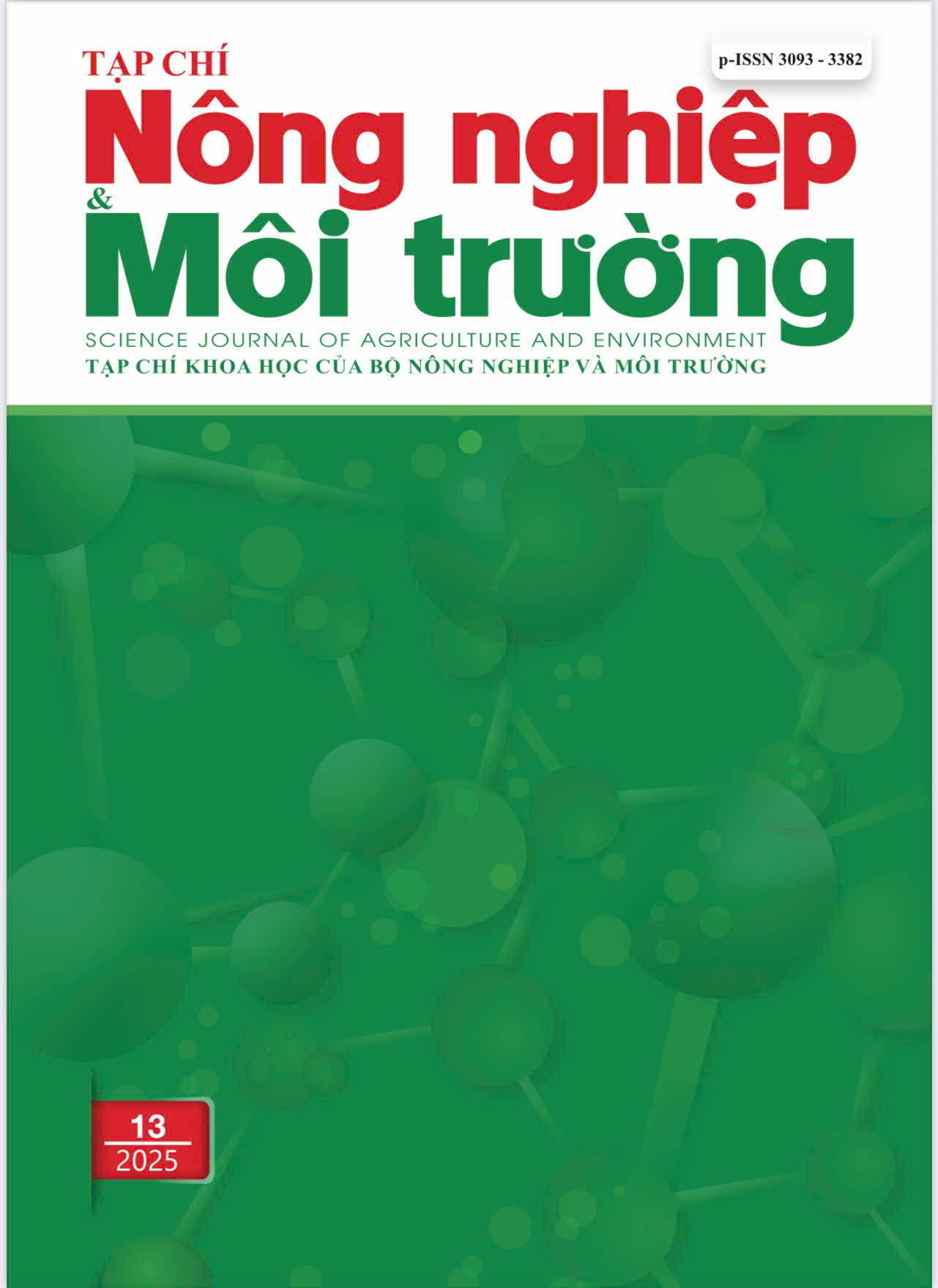 Xem Số 13 (2025)